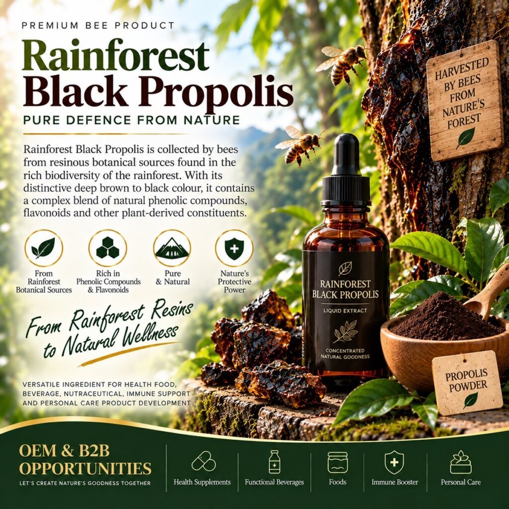 Hebamed rainforest black propolis